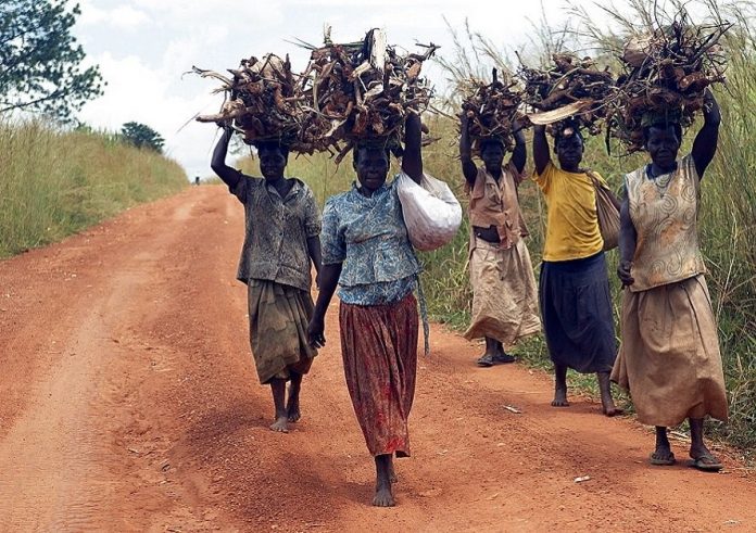 Figure 1: Women carrying firewood| Photo source: Face2FaceAfrica.com
