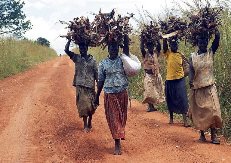 Women Involvement in Energy for a Sustainable Future