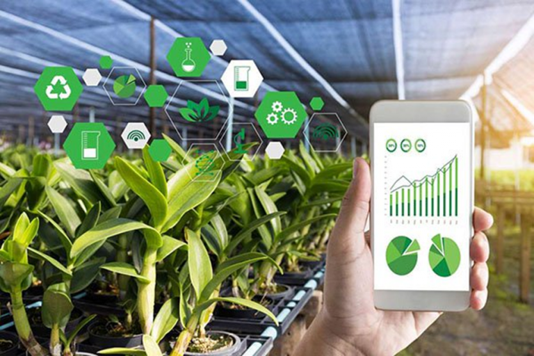 Smart tech the new tool for African farmers