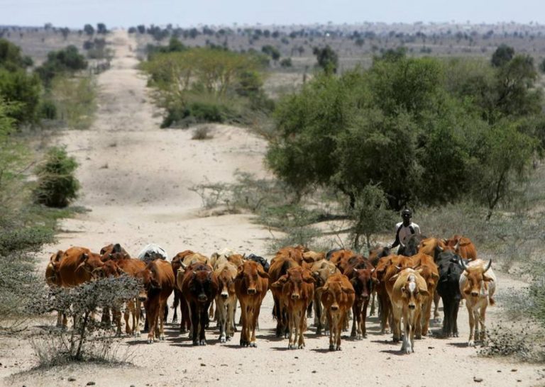 Stop Soil Erosion Now or Face Starvation Soon, Scientists Warn