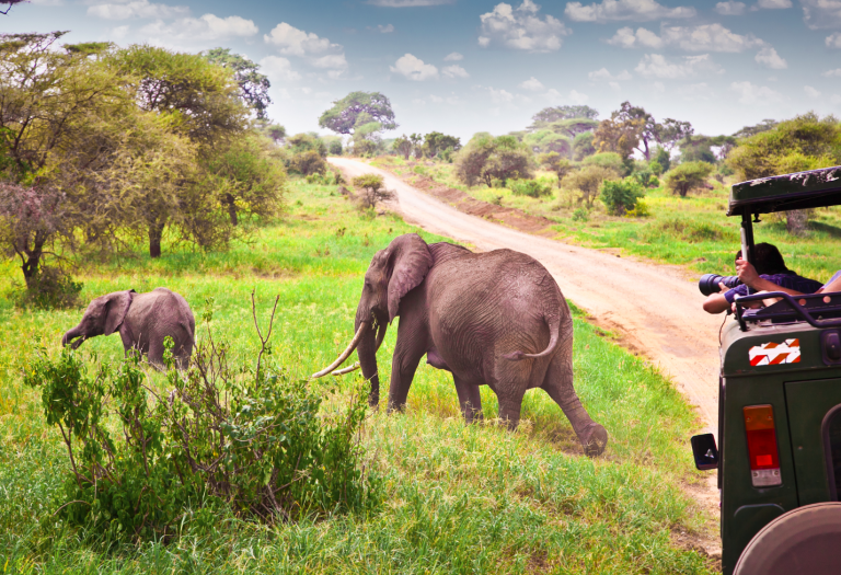 African countries target tourists from the UAE