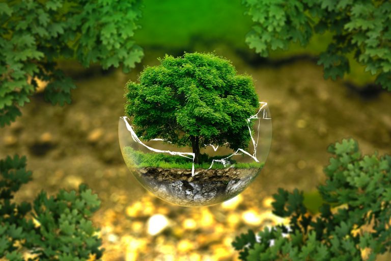 Why Sustainability Is a Buzz Word Today