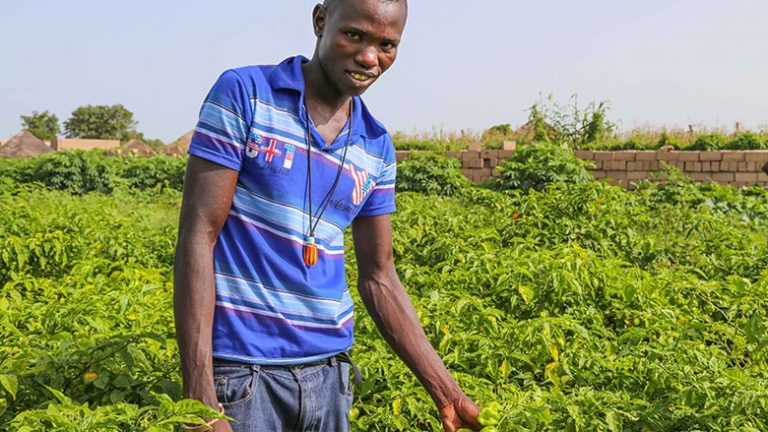 African Agriculture Has a Branding Problem: Here’s How to Fix It