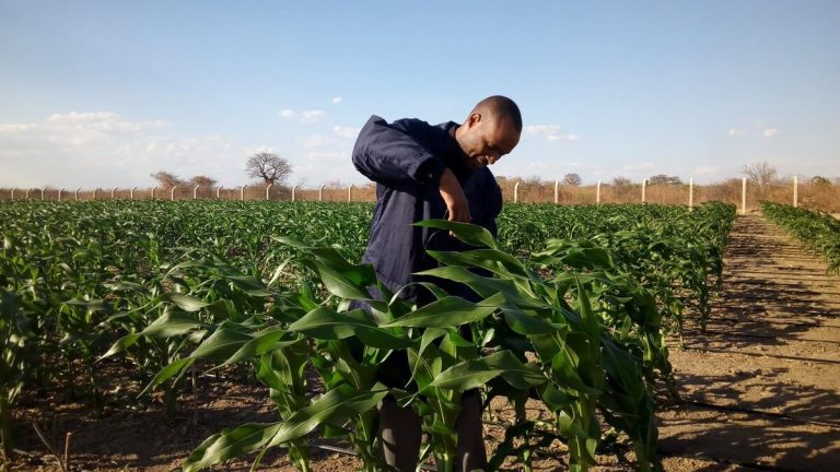 E-Commerce Directly Linking Farmers and The Market