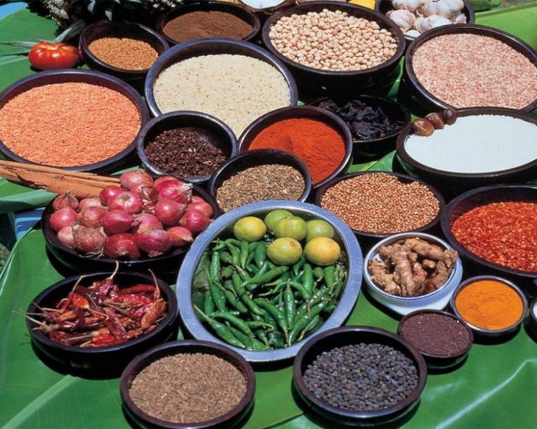 Species Extinction Not Just A Curiosity: Our Food Security And Health Are At Stake