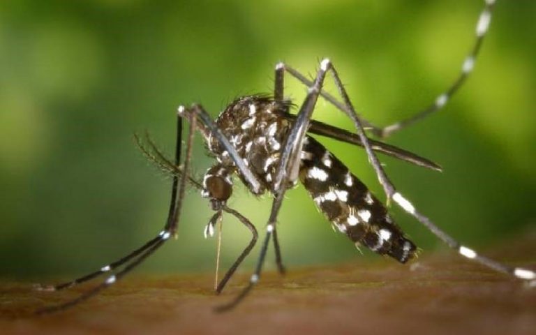 Scientist Find Deadly Zika Virus in West Pokot County