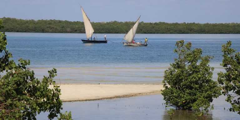 Marine-Based ‘Blue Economies’ Offer Massive Potential
