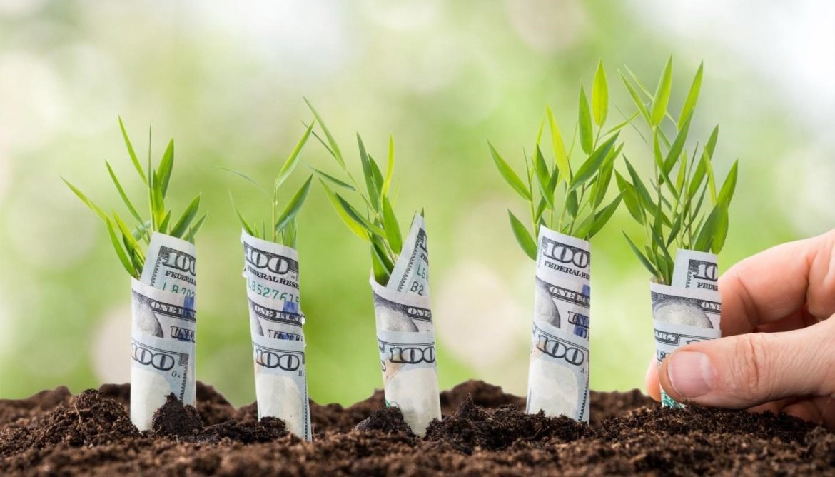 Financial sustainability