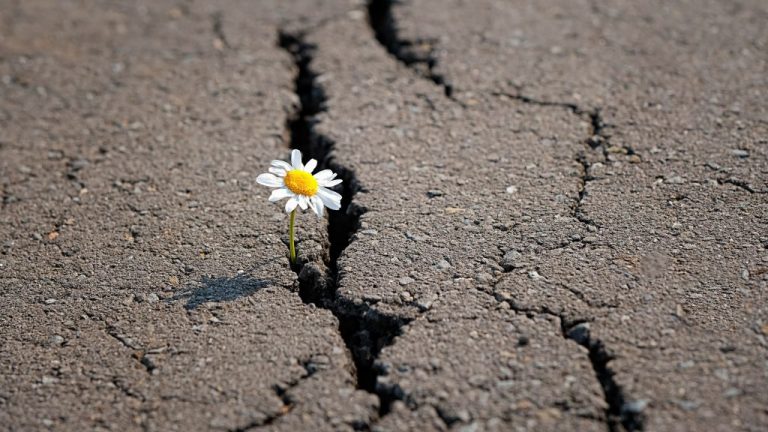 Emergence From Emergency: The Case For A Holistic Economic Recovery Plan