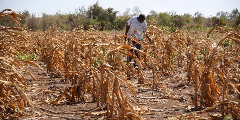 Impact Insurance Crucial In Climate Change Mitigation