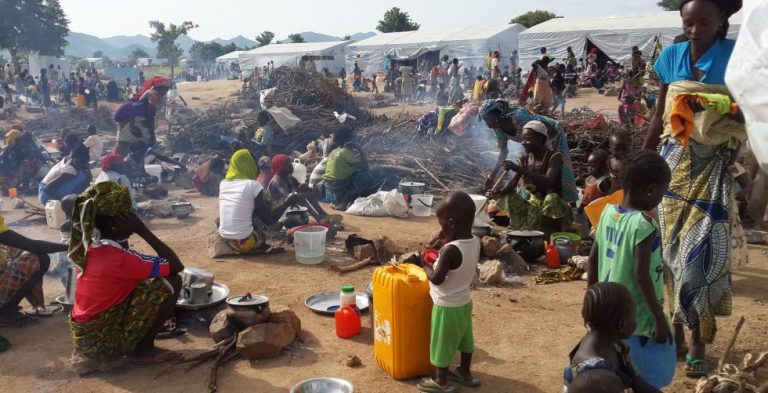Insecurity In Niger: Reversing The Gains Made In Land Restoration