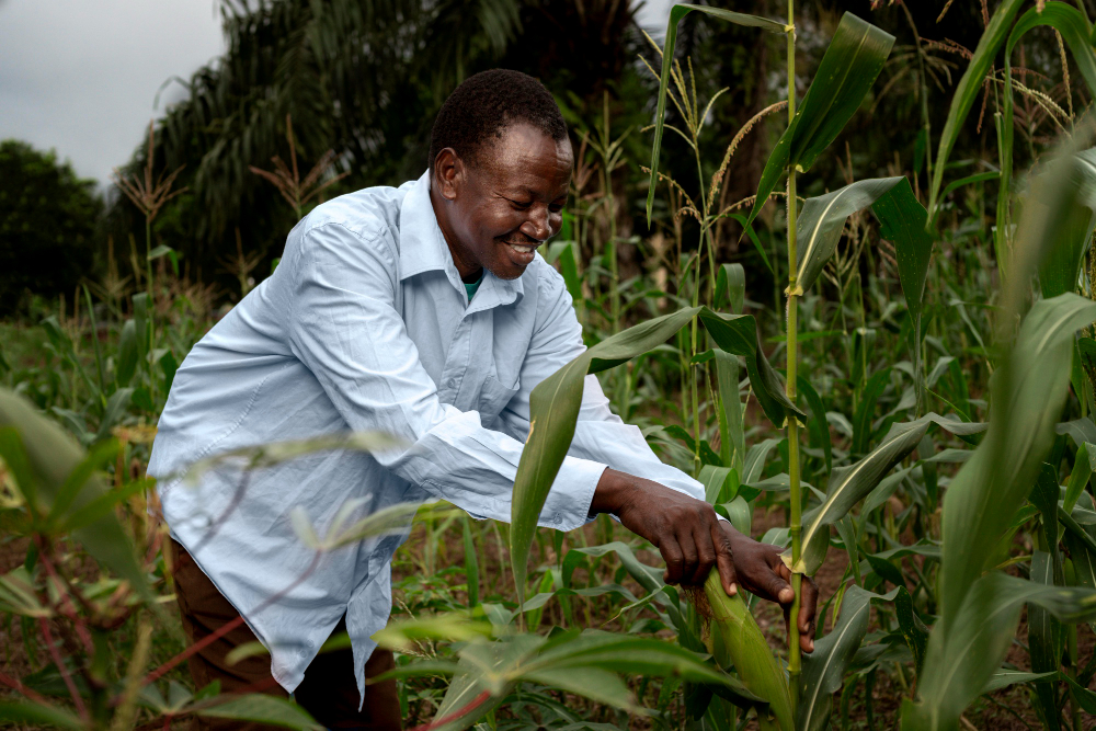 Green technology and sustainable agriculture in Africa - Africa ...