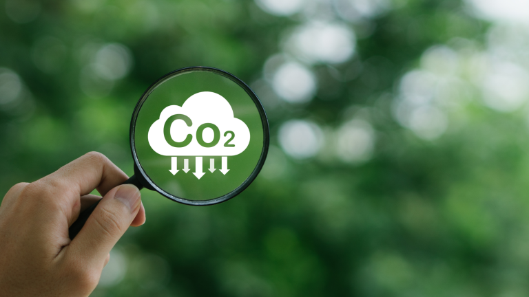 AgriCarbon becomes Africa’s first regenerative farming programme to receive Verra Certified Carbon Credits