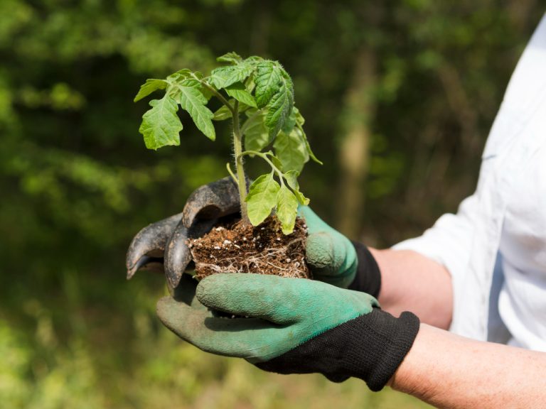 The High Atlas Foundation’s zero-waste initiative