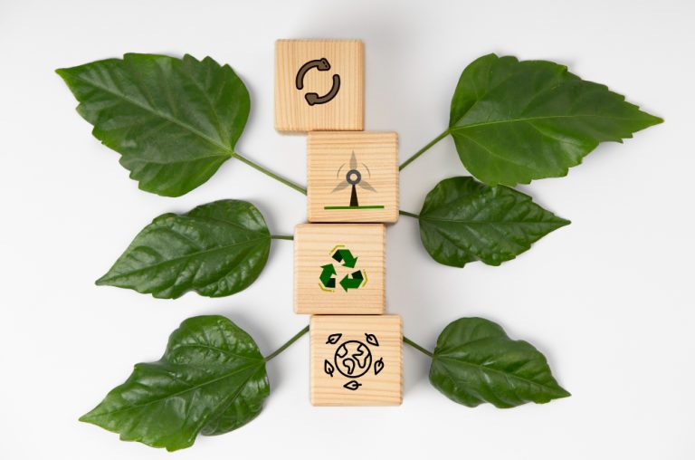 IFC to revamp sustainability framework guiding $4.5 trillion in emerging market investments