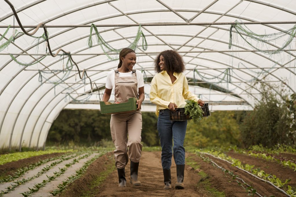 AUDA-NEPAD opens applications for 2026 agribusiness accelerator aimed at strengthening Africa’s climate-smart food systems - African Sustainability Matters